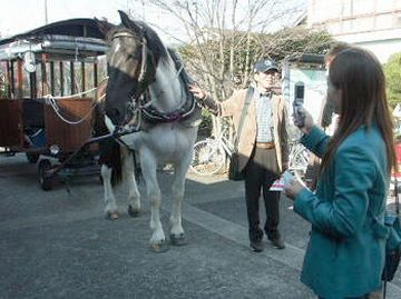 辻馬車・お馬さんと記念撮影