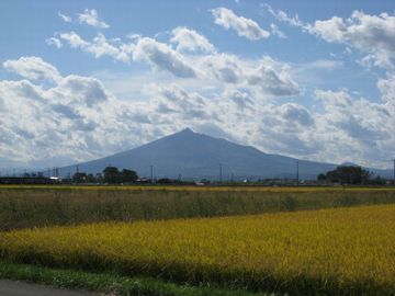 青森県つがる市・人口密度、139人/km2