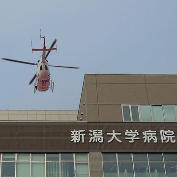 その場から、救急車よ