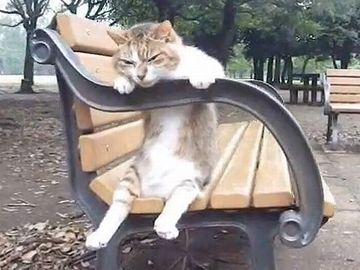 公園のベンチにもたれて、じっとしてた