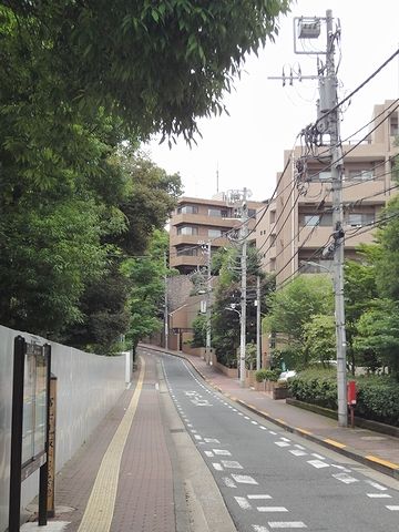 左側が鬱蒼とした樹林