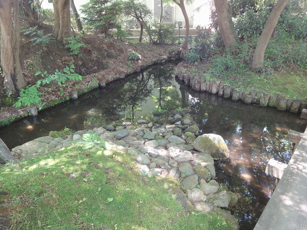 水面に落ちる木漏れ日