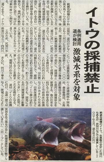 絶滅危惧種に指定されてます