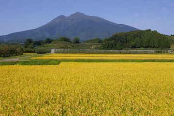 10月の東北って、気候的に一番いいんじゃないかな