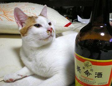 それって、養命酒の飲み方じゃないんですか?