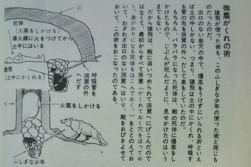 これは微塵がくれの術。しかし、こういうのを“術”っていうんですかね?