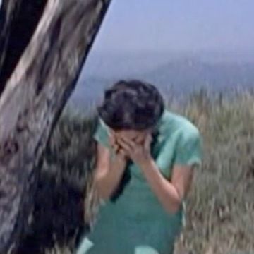 その場に泣き伏したと云う
