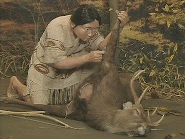 捕り尽くされたり……