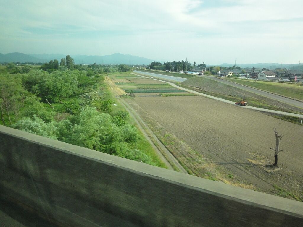 阿賀野川の堤防だな