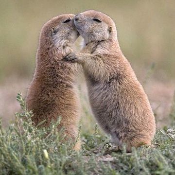 抱き合ってキスをしていたんです