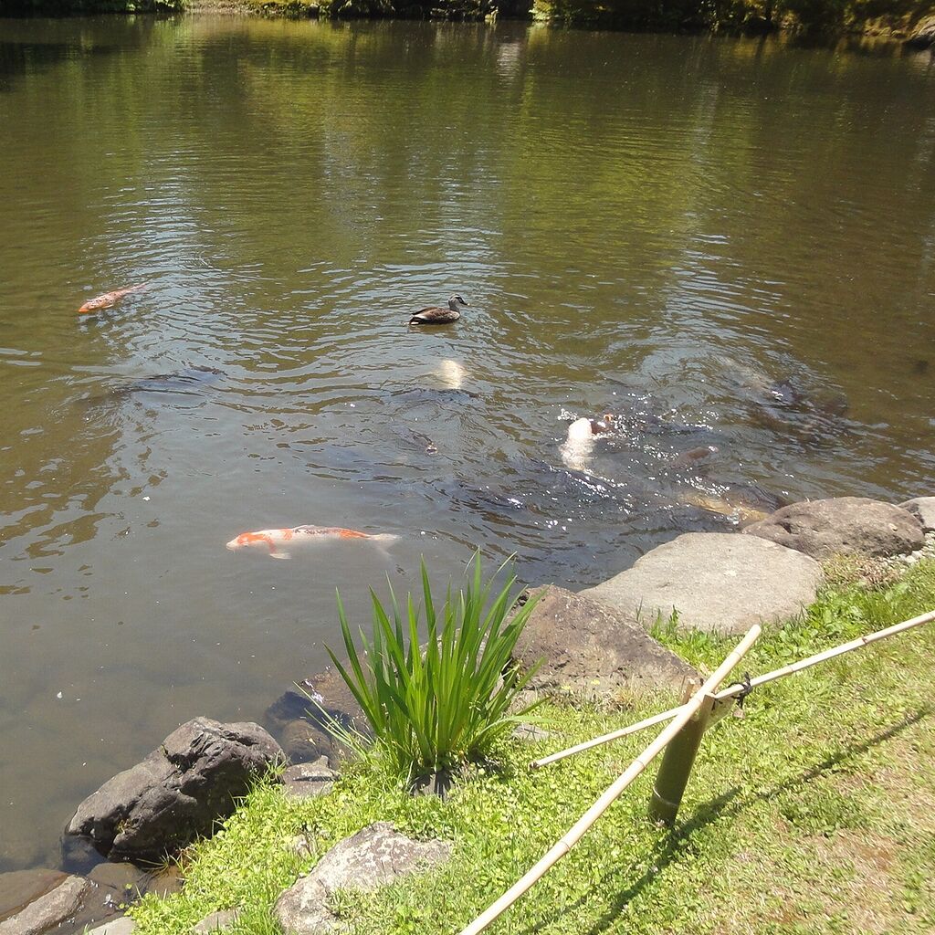 志の低い輩どもめ