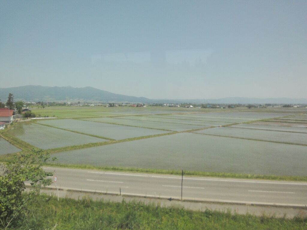 ここは見事な水田じゃ