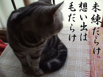 未練が残るじゃろ?