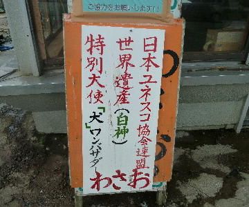 ユネスコ協会の『世界遺産活動 特別大使 “犬”(ワンバサダー)』です