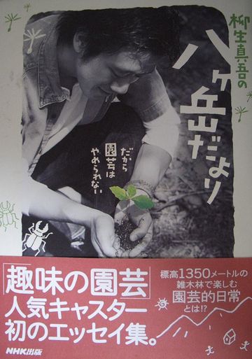 ヤツガタ系って云うわけ