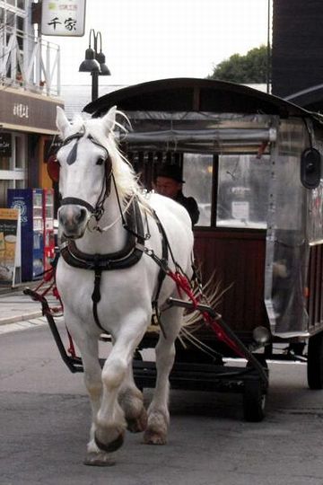 由布院・辻馬車