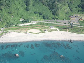 松林の向こうに、砂浜が見えますよ