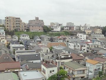 武蔵野台地の崖線が見えます