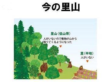 山と里が、直接接することになります