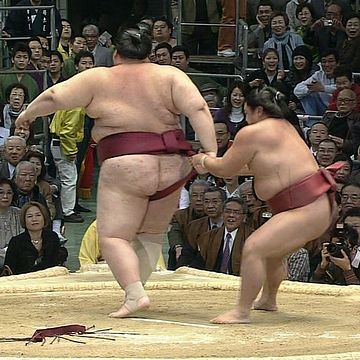 いや~ん。後ろ姿は、山本山。生なので、モザイクが入れられなかった模様。