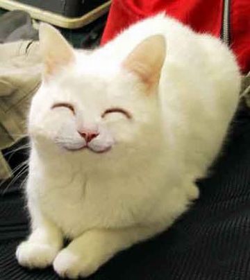 これもまた、ウマい!
