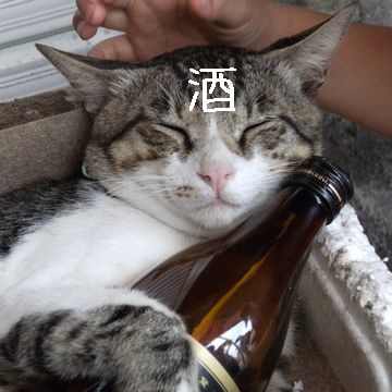 ただし、額に『酒』と彫られる