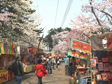 花見も盛大なんだろうな