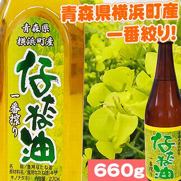 菜種油を採ってるんですよ