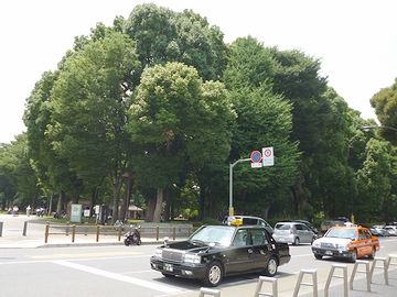 『東京国立博物館』を出ました