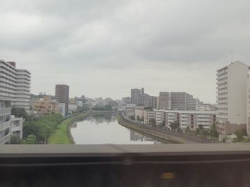 新河岸川