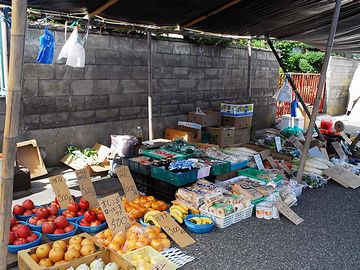 起源は、300年前だとか