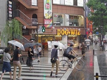 このころは梅雨の真っ最中