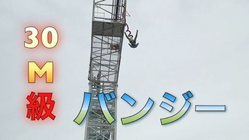 こういうことをする人の気が知れません