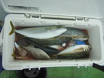 獲った魚を入れるクーラー?
