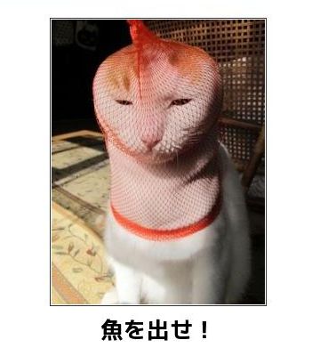夜道で強盗に襲われる心配も無くなるし
