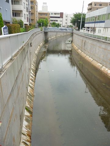 高いコンクリート護岸で囲われた、東京らしい川