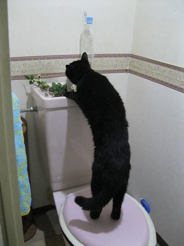 じゃ、どこで飲むわけ?