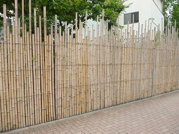 『アガパンサス』から続くのは、竹垣
