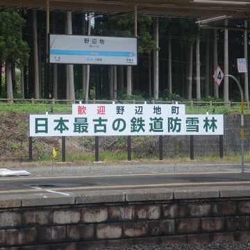 『野辺地防風原林』として、鉄道記念物になってます