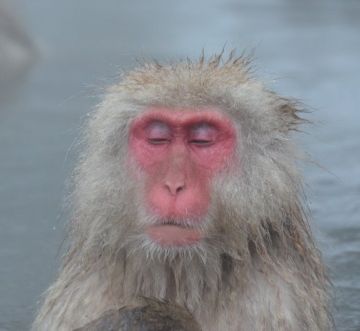 温泉やプールには入れなくなるのよ