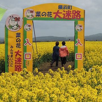 『陸奥横浜(むつよこはま)』菜の花で有名なようです