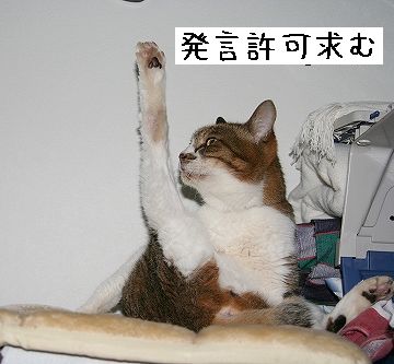 じゃ、発言していいですか?
