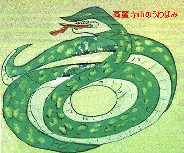 ウワバミって、あの蛇のウワバミですか?