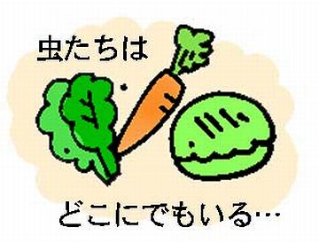 虫たちはどこにでもいる