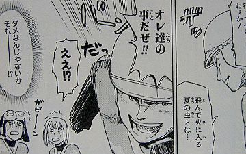 飛んで火に入る夏の虫