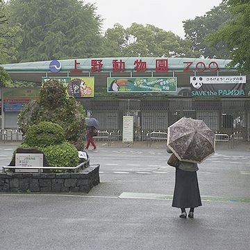 雨の中、野外施設の見学は、ちょっと大変