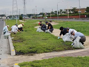 シバザクラ植栽地の草取りのようです。こういうところなら、半袖でも出来ます。