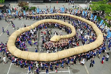 新潟県関川村の『大したもん蛇まつり』。蛇の全長は、82.8メートル。