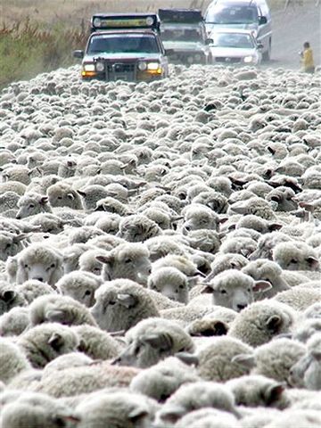 万が一の渋滞なんかを考えれば……