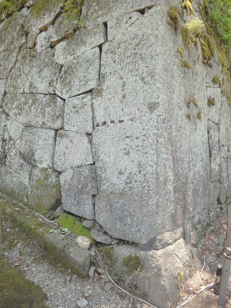 この切り取り線みたいな点々は何だ?